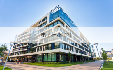 柳州微電子行業(yè) 企業(yè)待遇、工作體驗(yàn)與投資管理分析